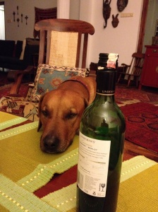 To cheer us up, we even put Biko, our eccentric Rhodesian Ridgeback on FaceTime. © Donatella Lorch