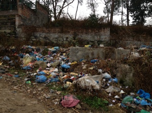 In Nepal, garbage is the gift that keeps on giving. Trashed plastic bags are everywhere. © Donatella Lorch