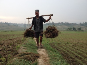 A farmer carries manure to his fields. © Donatella Lorch
