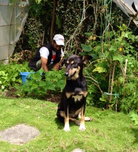 Within two days of moving in, Raksi was  walking around our garden. ©Donatella Lorch