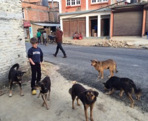 Meal time in front of our gate. Raksi is on the far left. ©Donatella Lorch
